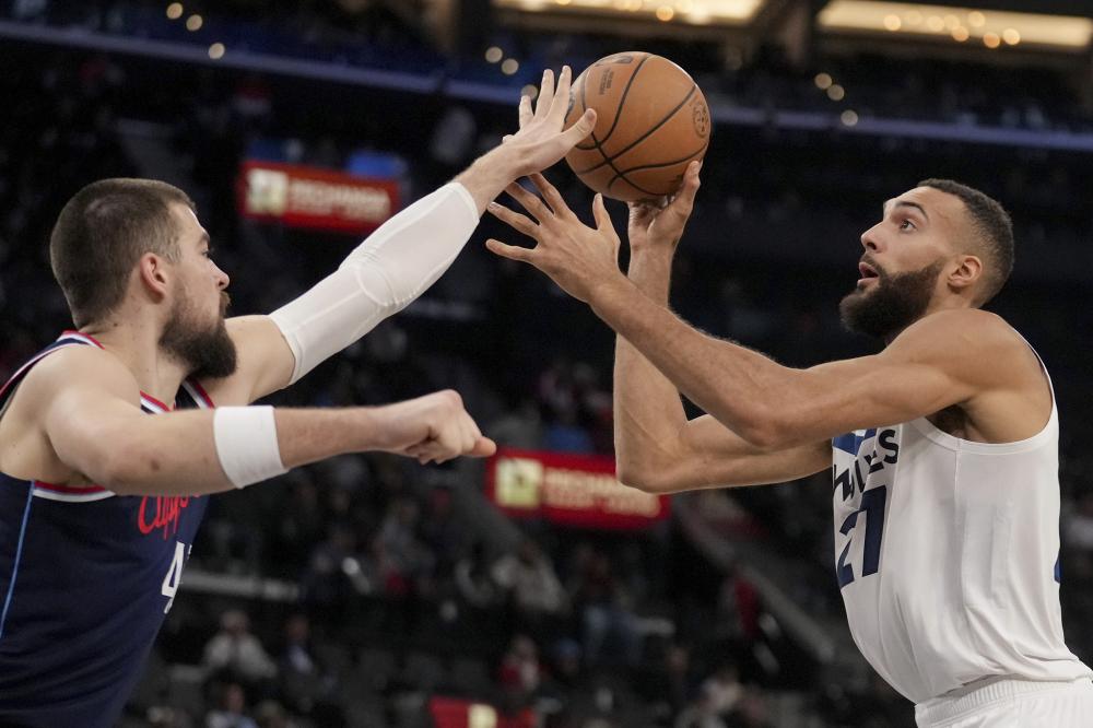 职业的双重 职业的双重